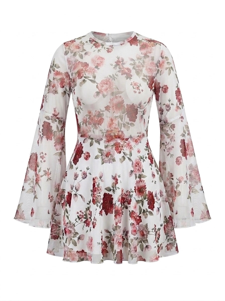 Skater Dress Witch Rose